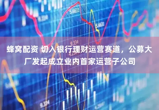 蜂窝配资 切入银行理财运营赛道，公募大厂发起成立业内首家运营子公司